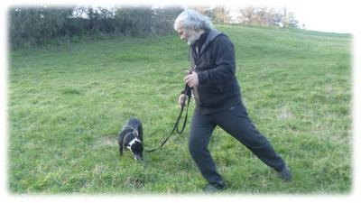 glutei mentre macchia annusa l'erba