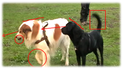 Comunicazione sociale fra Oliver e Matt