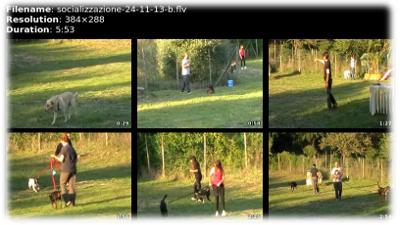 Classe di Socializzazione