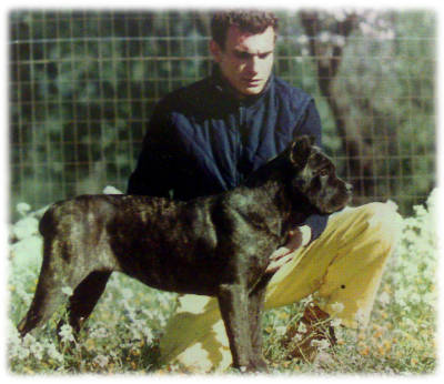 Luidi Di Leo e Rapsodia