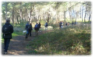 Attività sportiva anno 2019 - i DogTrekking