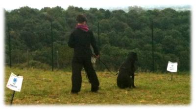 Bucke Marina sul percorso di Rally Obedience