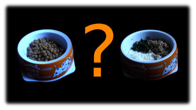 crocchette o cucinato?