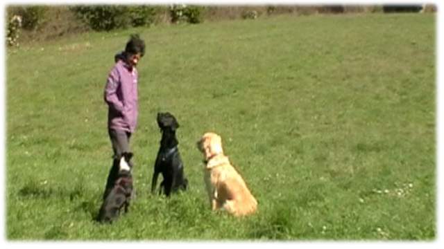 allenamento sull'attenzione