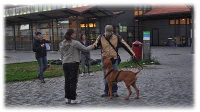 incontro con l'estraneo