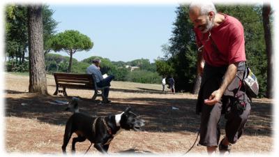 stefano e macchia giocano al guinzaglio
