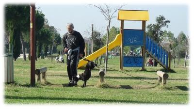 macchia fa mobility dog