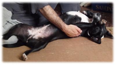 stefano e macchia si rilassano