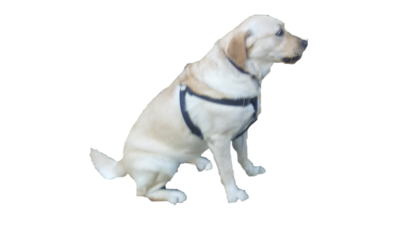 Zeus: un caso di Hs-Ha